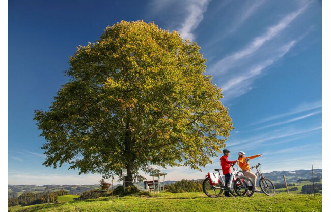 Gewinnen Sie einen unvergesslichen E-Bike-Tag im Emmental!