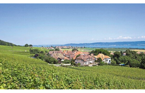 Coop - Gewinnen Sie einen Weintourismus-Aufenthalt mit einer Übernachtung für zwei Personen und 3 x 1 Terravin-Set mit 6 Flaschen - schweiz