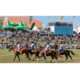 Gewinnen Sie Ihre Eintrittskarten für den Marché-Concours national de chevaux