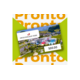 Gewinnen Sie Coop Pronto- oder Swiss Holiday-Geschenkkarten im Wert von CHF 500.-