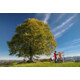 Gewinnen Sie einen unvergesslichen E-Bike-Tag im Emmental!
