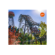 Gewinnen Sie einen von fünf Europapark-Gutscheinen im Wert von je CHF 200.–