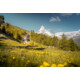 Gewinnen Sie 2 Gornergrat Retour Tickets inkl. Priority Boarding