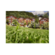 Gewinnen Sie einen Reka-Familienurlaub im Wert von CHF 2'000.-